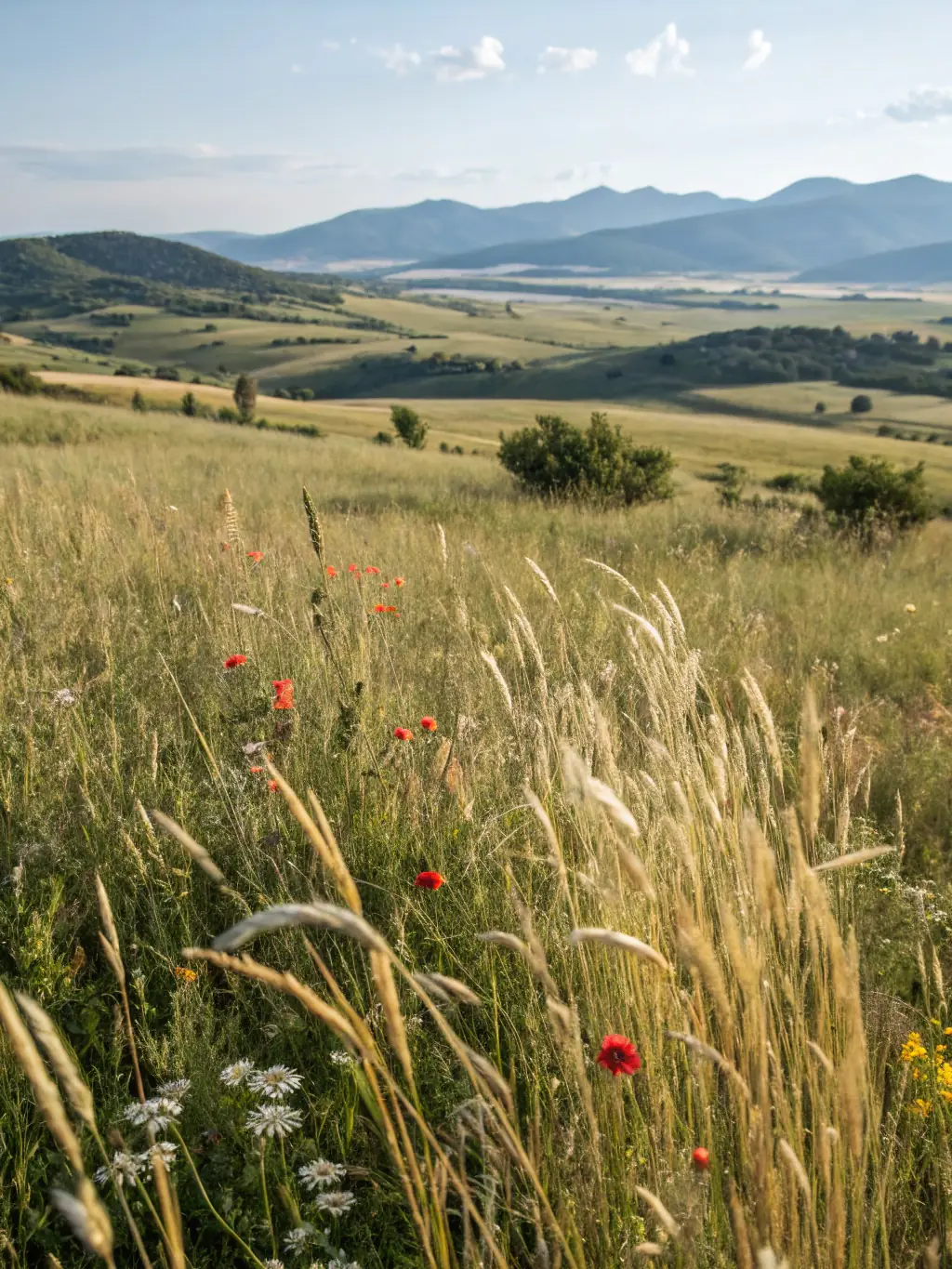 A scenic view of the Truyère basin, highlighting its natural beauty and historical significance, with walking trails visible.